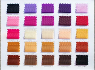 2009 Color Card 5